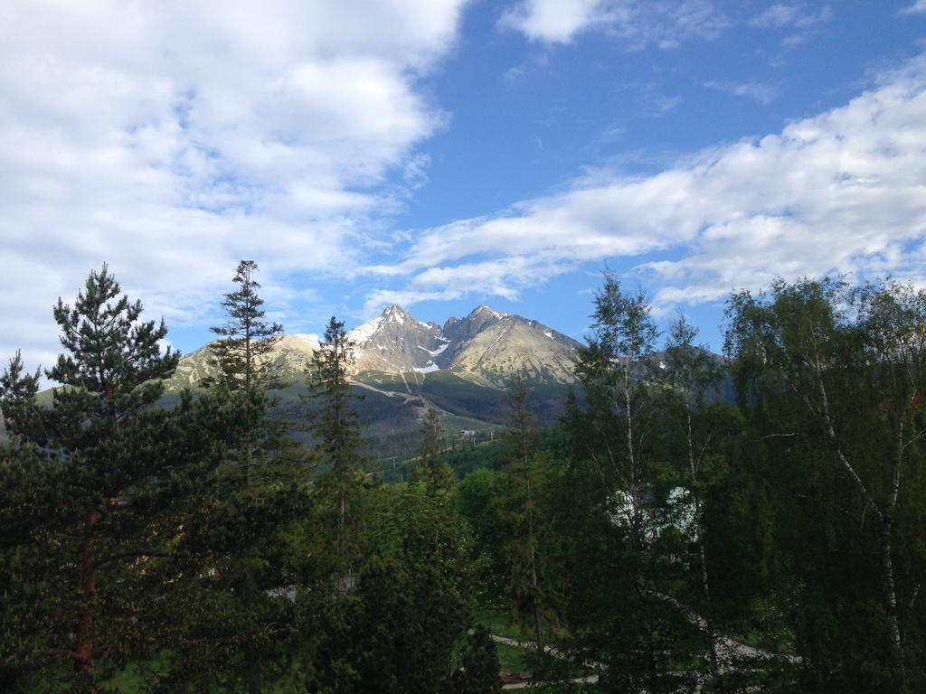 Wili Tatry Apartments Tátralomnic Kültér fotó